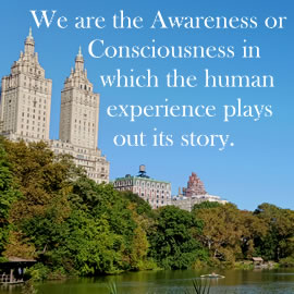 We are the Awareness or Consciousness in which the human experience plays out its story.