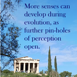 More senses can develop during evolution, as further pin-holes of perception open.