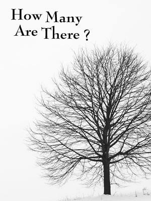 How Many Are There: Tree