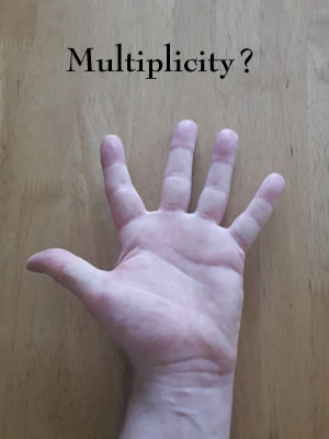 Multiplicity?