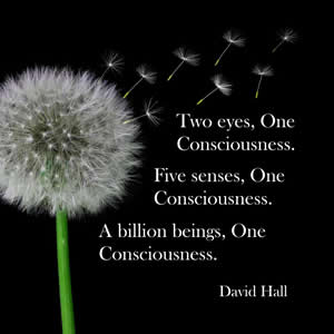 Two eyes, One Consciousness... A billion beings, One Consciousness.