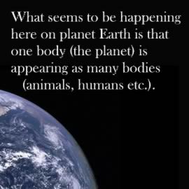 What seems to be happening here on planet Earth is that one body (the planet) is appearing as many bodies (animals, humans etc.).