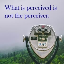 What is perceived is not the perceiver.
