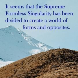 It seems that the Supreme Formless Singularity has been divided to create a world of forms and opposites.