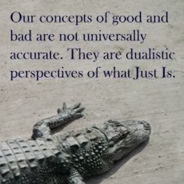 Our concepts of good and bad are not universally accurate. They are dualistic perspectives of what Just Is.