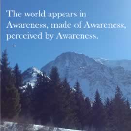 The world appears in Awareness, made of Awareness, perceived by Awareness
