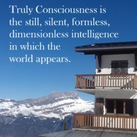Truly Consciousness is the still, silent, formless, dimensionless intelligence in which the world appears.